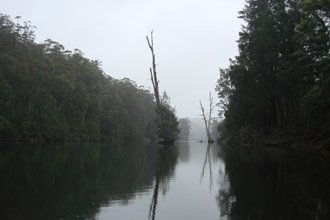 Kayaking the Kangaroo River, Kangaroo Valley, NSW photo